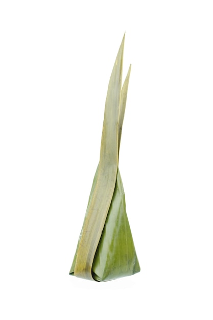 Primer plano de una hoja contra un fondo blanco