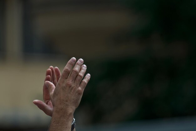 Foto primer plano de la hoja en la mano