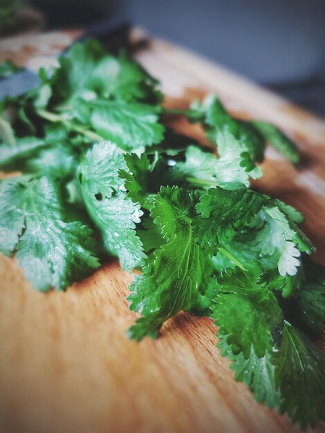 Primer plano de una hoja en la mesa