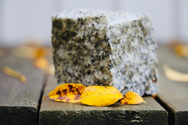 Foto primer plano de una hoja de otoño en la roca