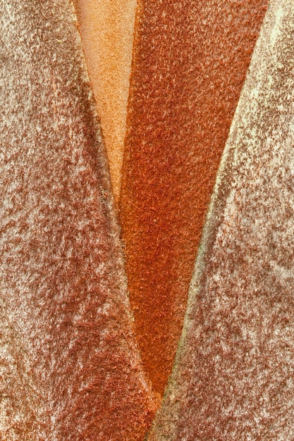 Primer plano de una hoja de palma que muestra patrones texturizados naturales foto de archivo