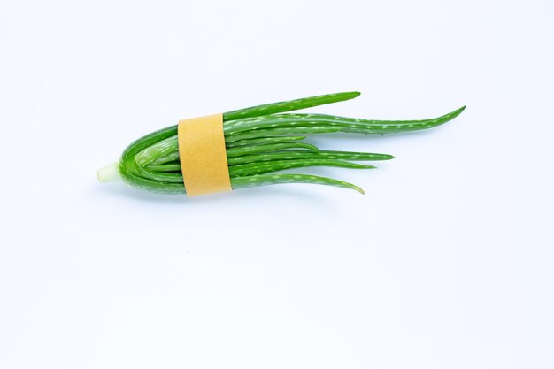 Foto primer plano de una hoja verde contra un fondo blanco