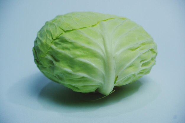Primer plano de una hoja verde contra un fondo blanco