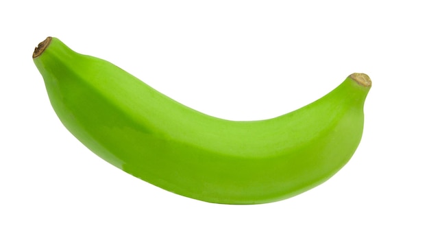 Primer plano de una hoja verde contra un fondo blanco