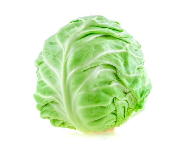 Primer plano de una hoja verde contra un fondo blanco