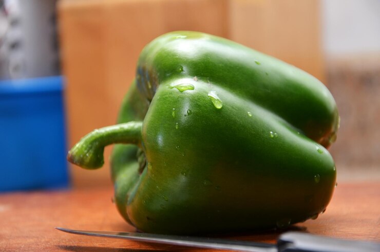 Foto primer plano de una hoja verde