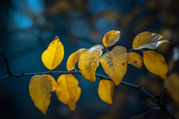 Primer plano de hojas amarillas en una rama con un fondo azul borroso