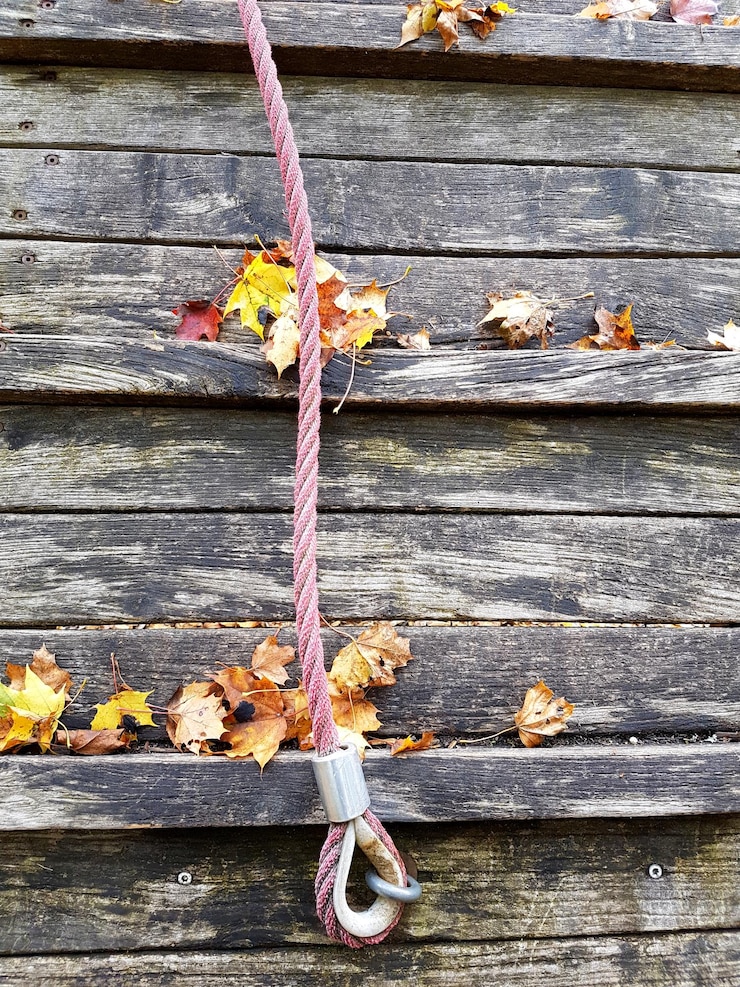 Foto primer plano de las hojas de otoño en la madera