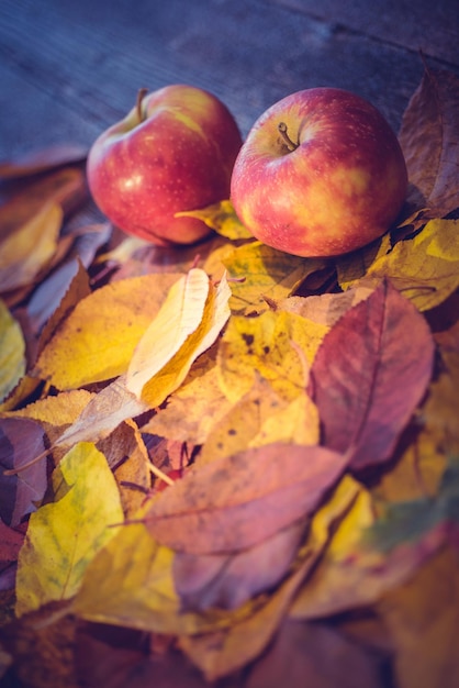 Foto primer plano de hojas de otoño con manzanas en la mesa