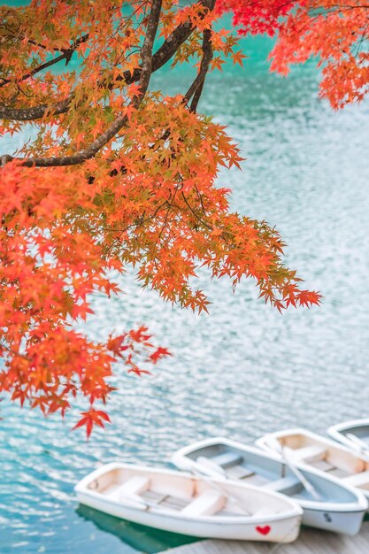 Foto primer plano de las hojas de otoño en la mesa