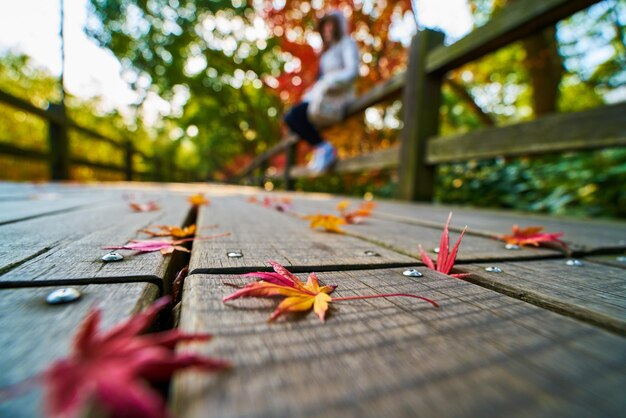 Foto primer plano de las hojas de otoño en la mesa