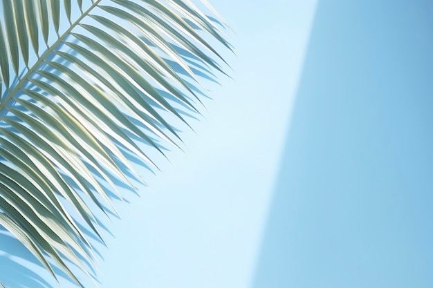 Un primer plano de hojas de palma colocadas en una pared azul en blanco con la luz del sol brillando