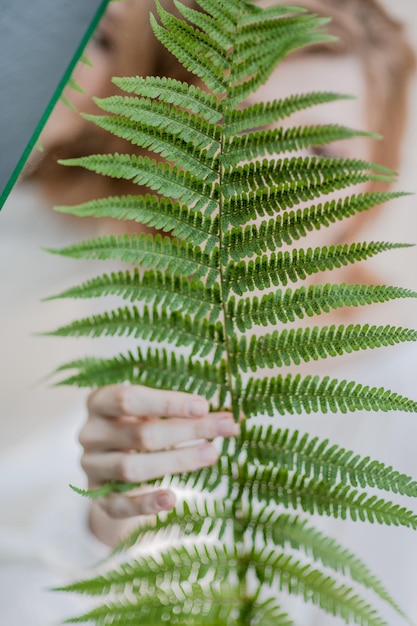 Foto primer plano de las hojas de las plantas suculentas