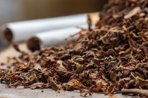 Primer plano de hojas de tabaco y cigarrillos hechos a mano sobre un fondo borroso