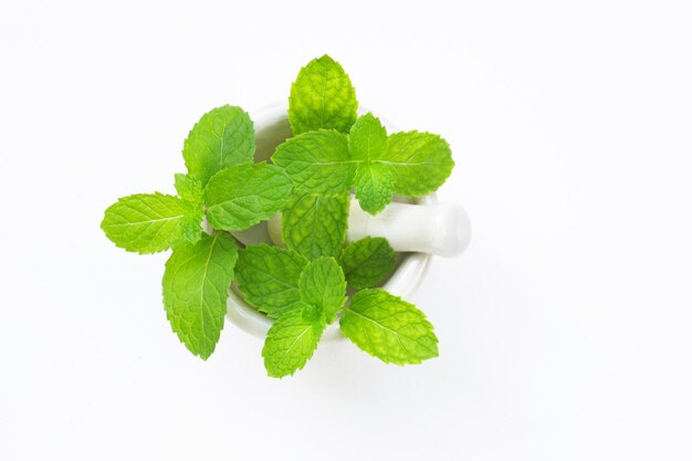 Foto primer plano de hojas verdes frescas contra un fondo blanco