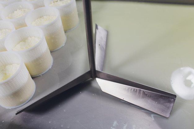 Primer plano de un hombre formando queso en los moldes de plástico en la pequeña granja productora