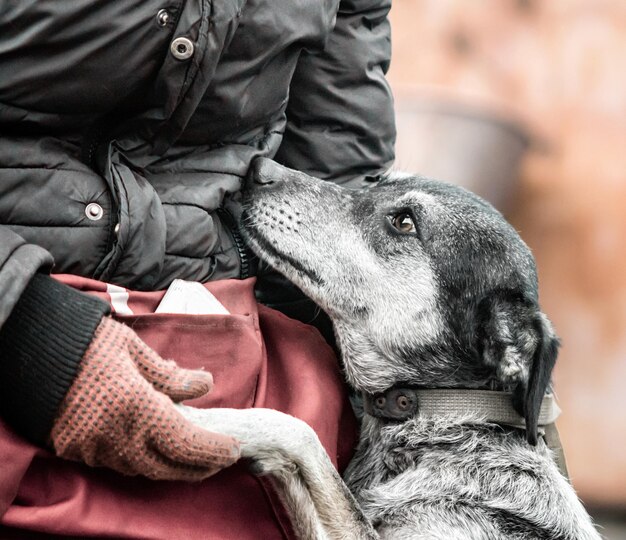 Foto primer plano de un hombre con un perro al aire libre