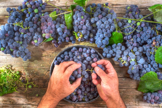 Primer plano de un hombre con uvas