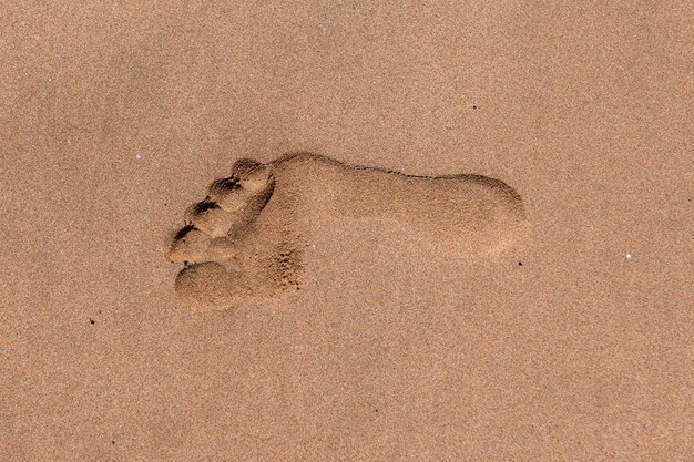 Primer plano de huellas en la playa de arena tropical.