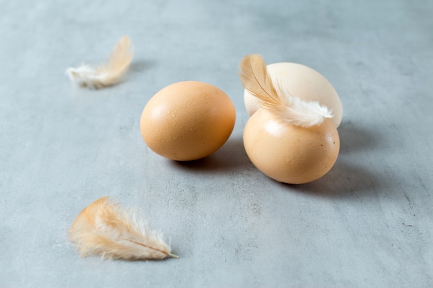 Foto primer plano de huevos de gallina marrón