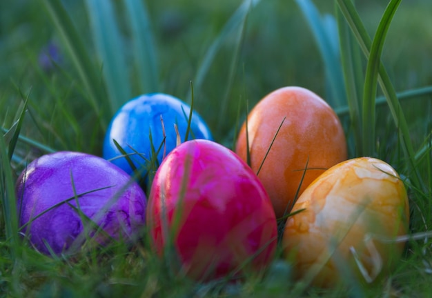 Primer plano de huevos de Pascua coloridos en un campo de hierba