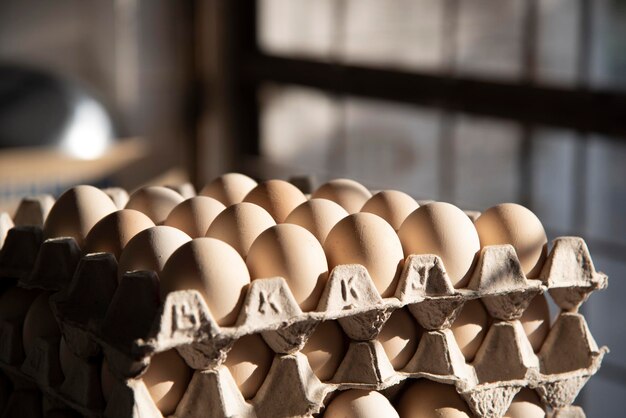 Foto primer plano de los huevos en el recipiente