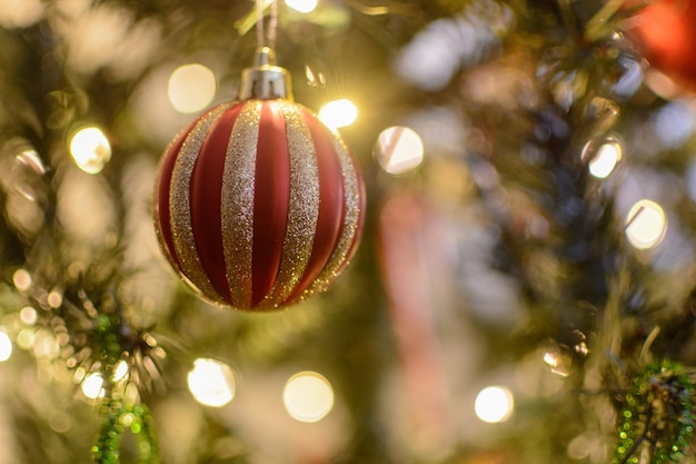 primer plano, de, iluminado, árbol de navidad