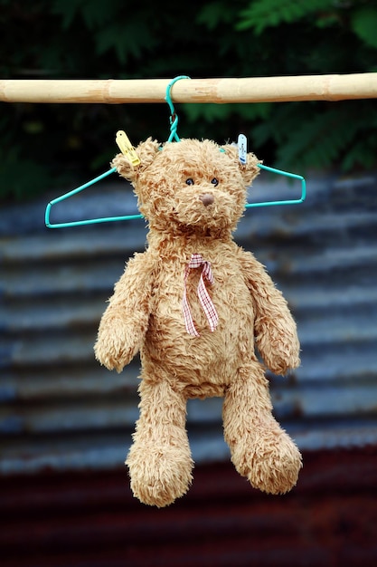 Un primer plano de un juguete de peluche colgando de una percha.