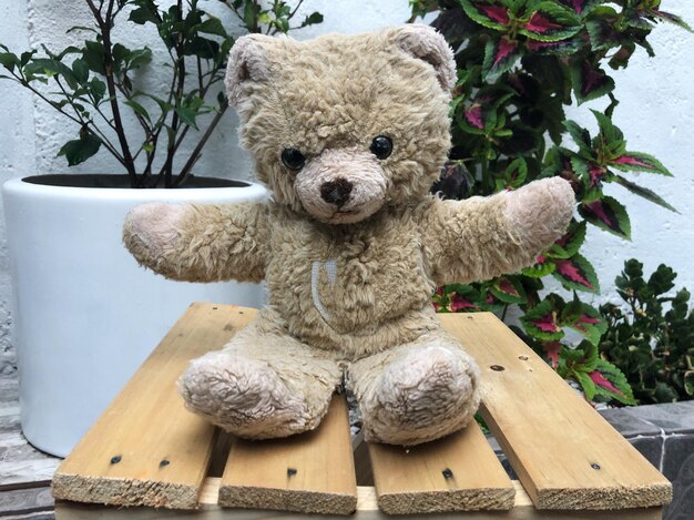 Primer plano de un juguete de peluche en madera contra los árboles