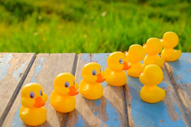 Foto primer plano de juguetes amarillos en el agua