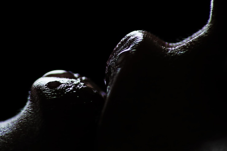Foto primer plano de los labios de la persona contra un fondo negro