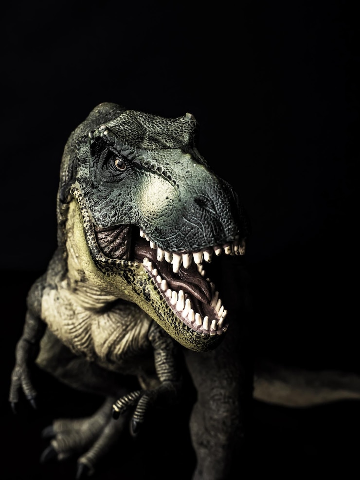 Foto primer plano de un lagarto sobre un fondo negro