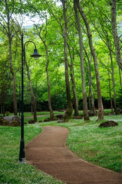 Primer plano de la lámpara de la calle en Green Park