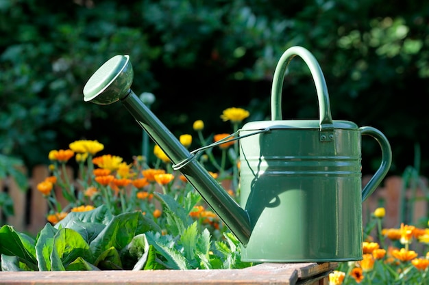 Foto primer plano de una lata verde fresca con flores amarillas en el patio