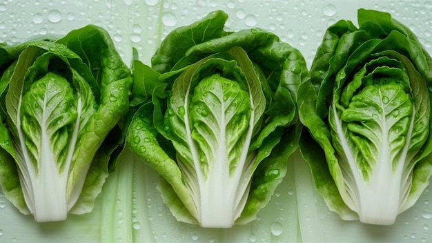 un primer plano de lechuga con gotas de agua