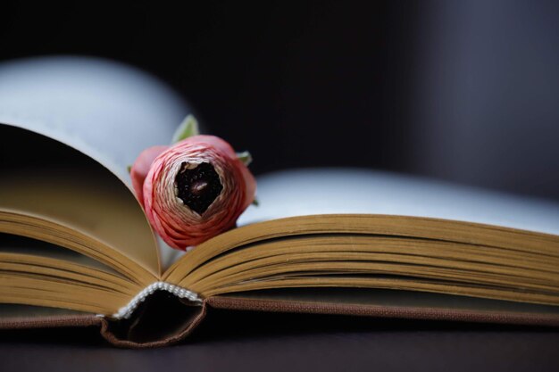 Foto primer plano de un libro abierto en la mesa con una rosa