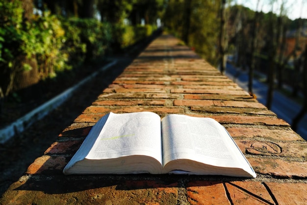 Primer plano de un libro abierto en la mesa