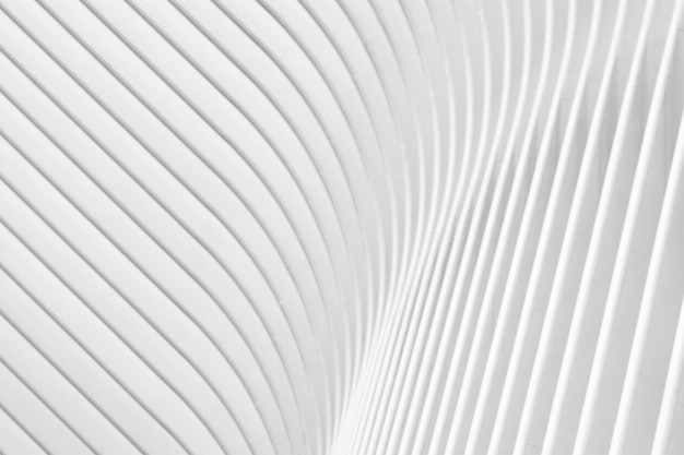 Primer plano del libro blanco