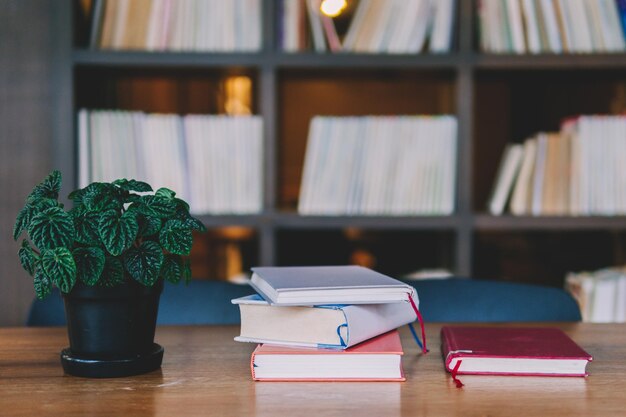 Primer plano de libros por planta en olla en una mesa de madera en la biblioteca