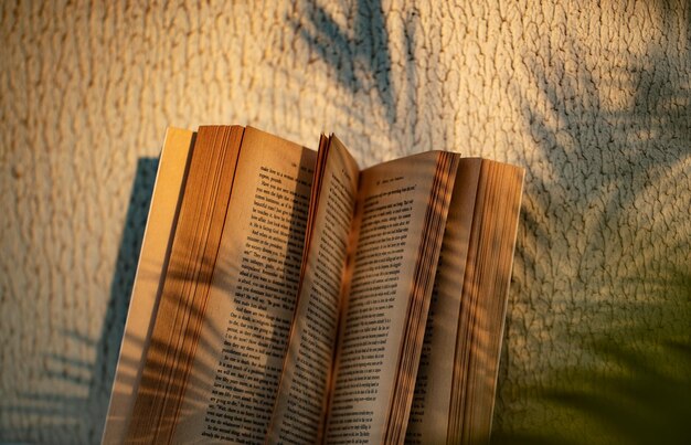 Foto primer plano de los libros