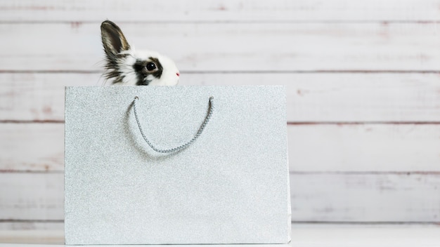 Primer plano de lindo conejito blanco está sentado en una bolsa de papel plateada.