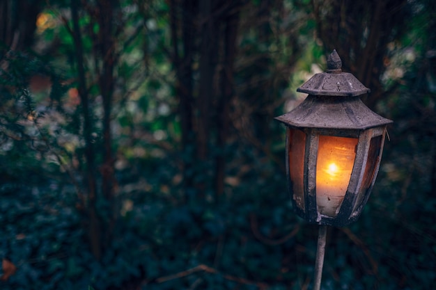 Primer plano de una linterna iluminada en el bosque