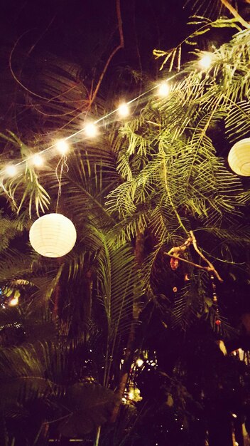 Foto primer plano de las luces de las hadas en el árbol