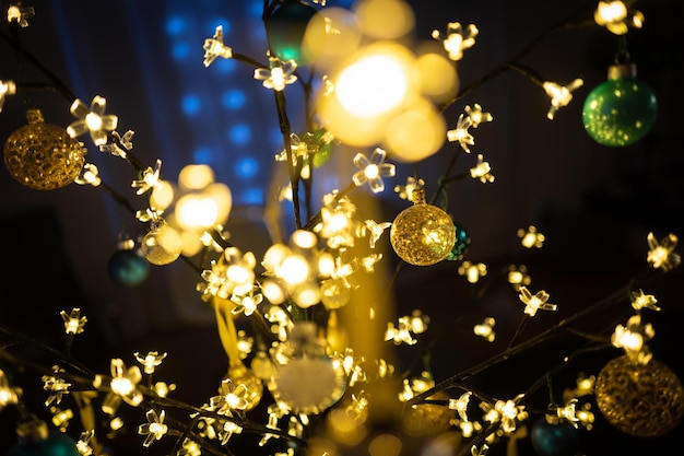 Foto primer plano de las luces de navidad iluminadas en la planta por la noche