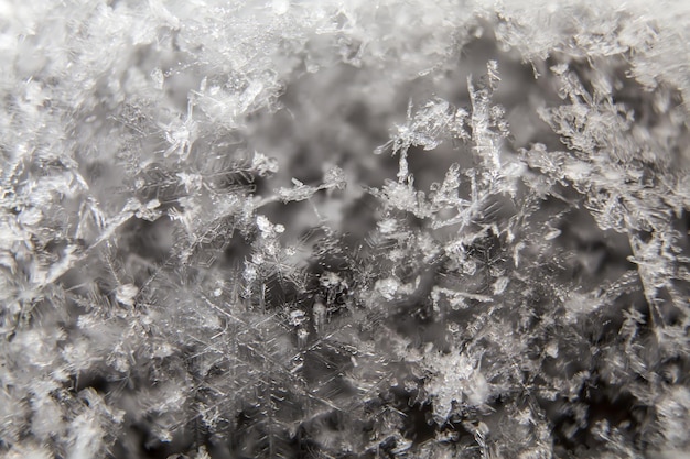 Primer plano macro real de copos de nieve acostado un puñado