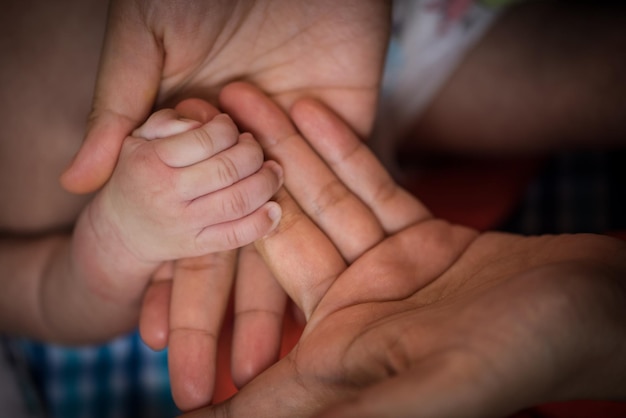 Primer plano de la madre sosteniendo las manos del hijo