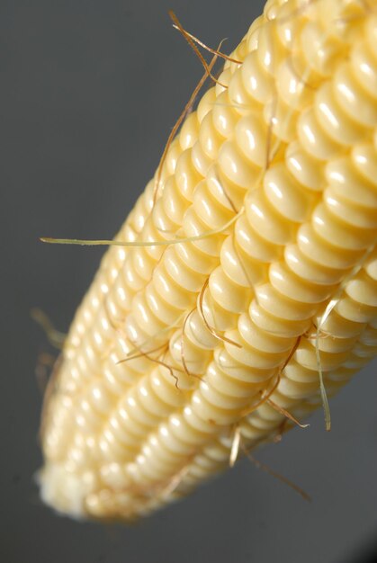 Foto primer plano del maíz