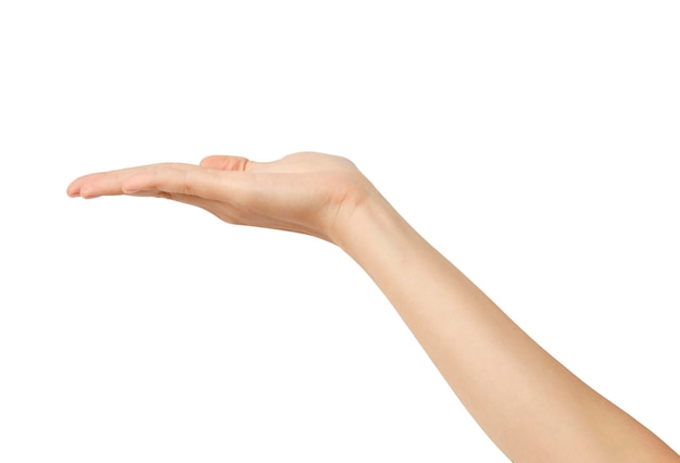 Primer plano de la mano contra un fondo blanco