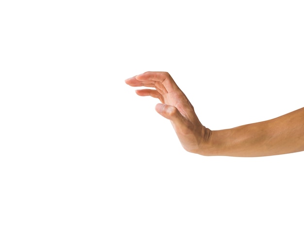 Primer plano de la mano contra un fondo blanco