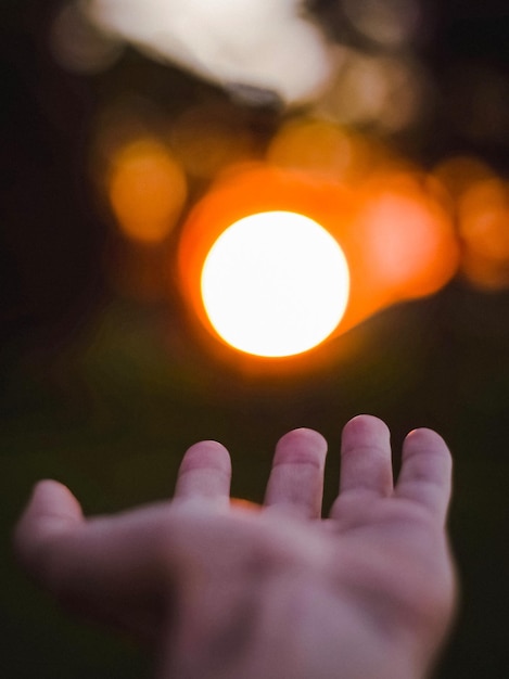 Foto primer plano de la mano contra el sol iluminado